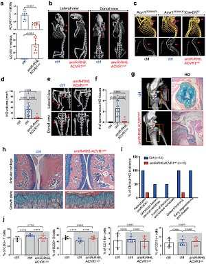 丁香实验推荐阅读