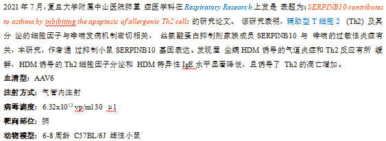 丁香实验推荐阅读