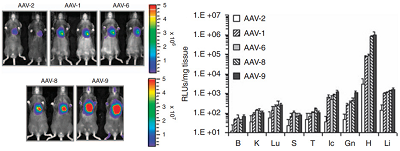 丁香实验推荐阅读