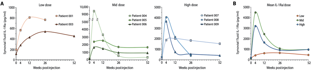 AAV 在骨科研究中的应用策略