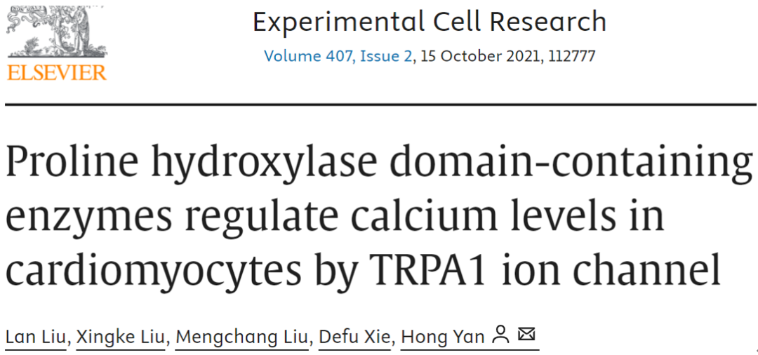 基因递送的多面手:慢病毒载体