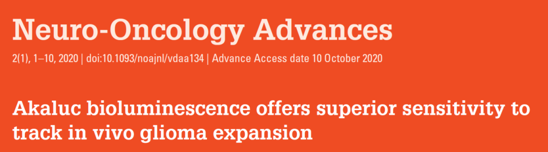 基因递送的多面手:慢病毒载体