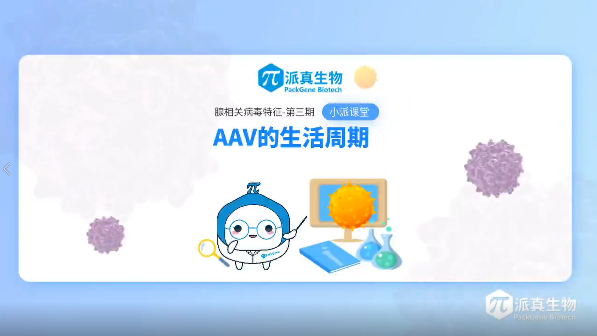 丁香实验推荐阅读