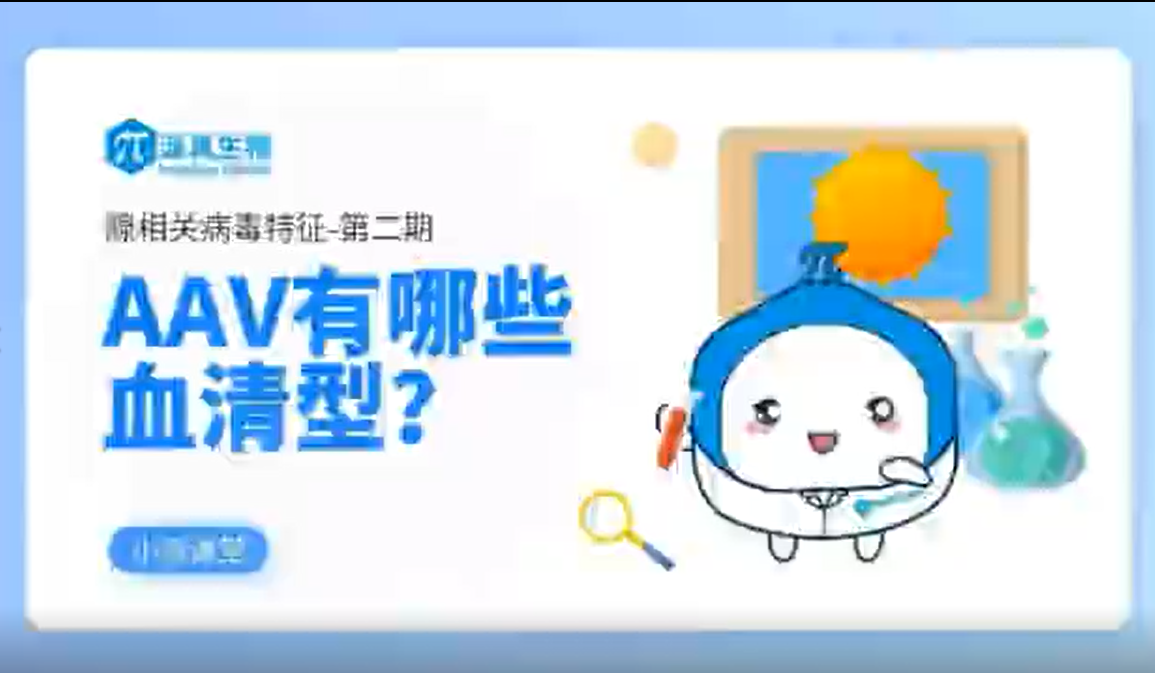 丁香实验推荐阅读