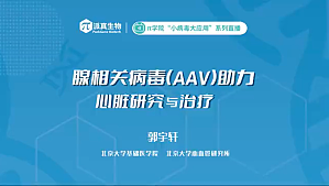 丁香实验推荐阅读