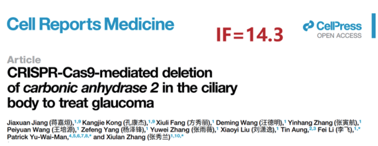 AAV 在眼科中的应用