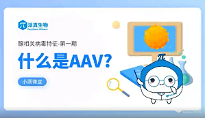 丁香实验推荐阅读