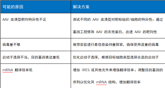 丁香实验推荐阅读