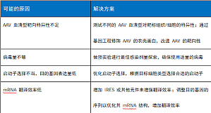 丁香实验推荐阅读