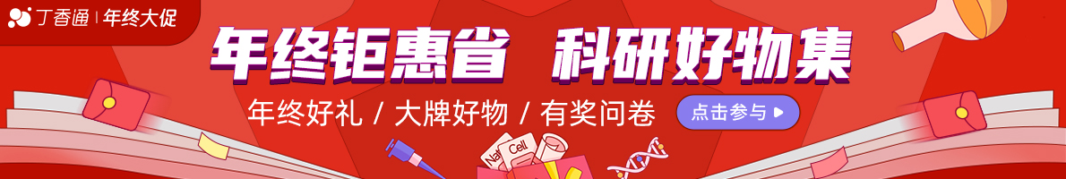 2025 12 月年终大促