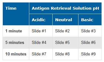 抗原修复方法 Antigen Retrieval Methods