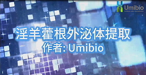 丁香实验推荐阅读