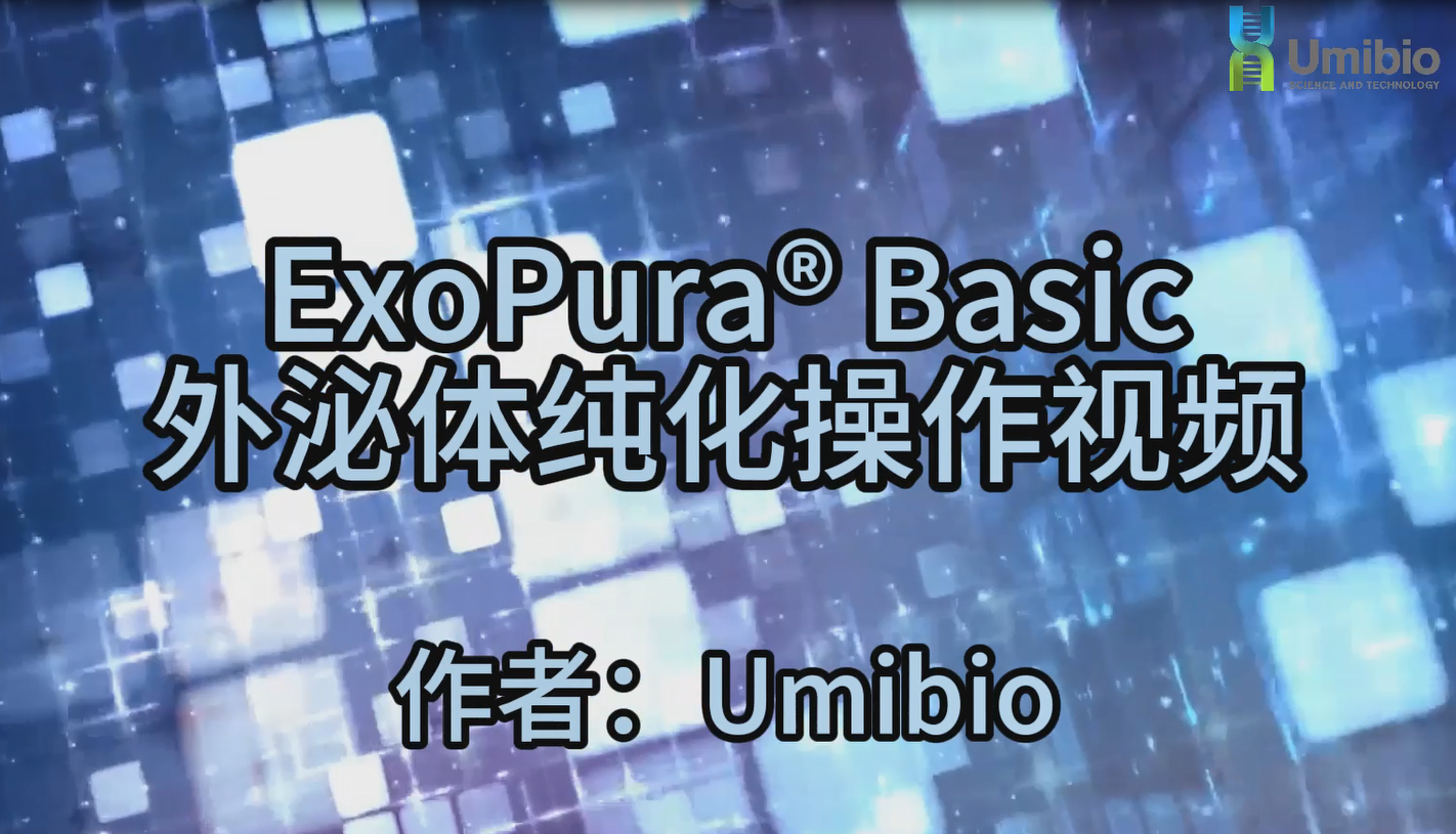 丁香实验推荐阅读