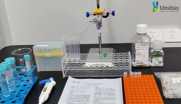丁香实验推荐阅读