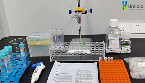 丁香实验推荐阅读