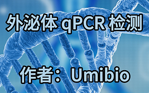 丁香实验推荐阅读