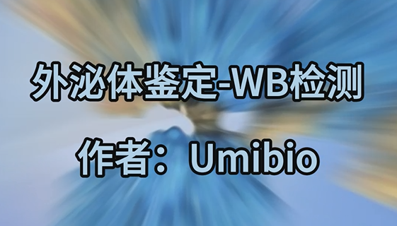 丁香实验推荐阅读