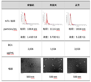 丁香实验推荐阅读