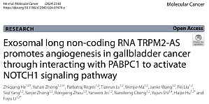 丁香实验推荐阅读