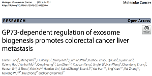 丁香实验推荐阅读