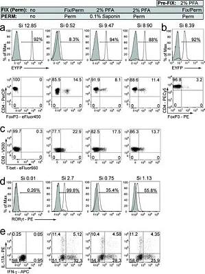 丁香实验推荐阅读