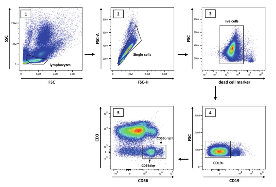 丁香实验_首页前沿资讯图