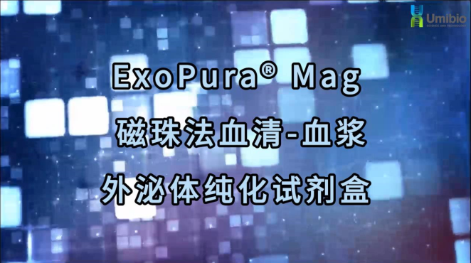 丁香实验推荐阅读