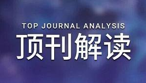 丁香实验推荐阅读