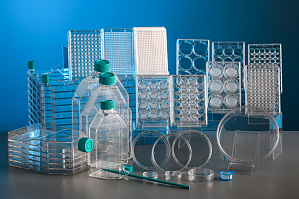 丁香实验推荐阅读