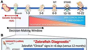 丁香实验推荐阅读