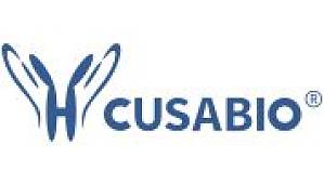 丁香实验推荐阅读