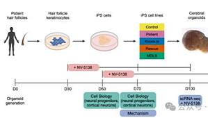 丁香实验推荐阅读