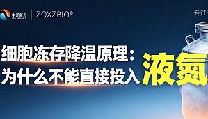 丁香实验推荐阅读