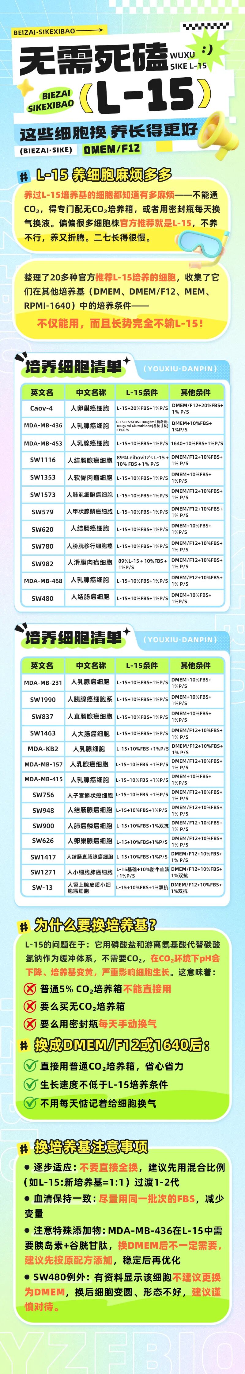 丁香实验推荐阅读