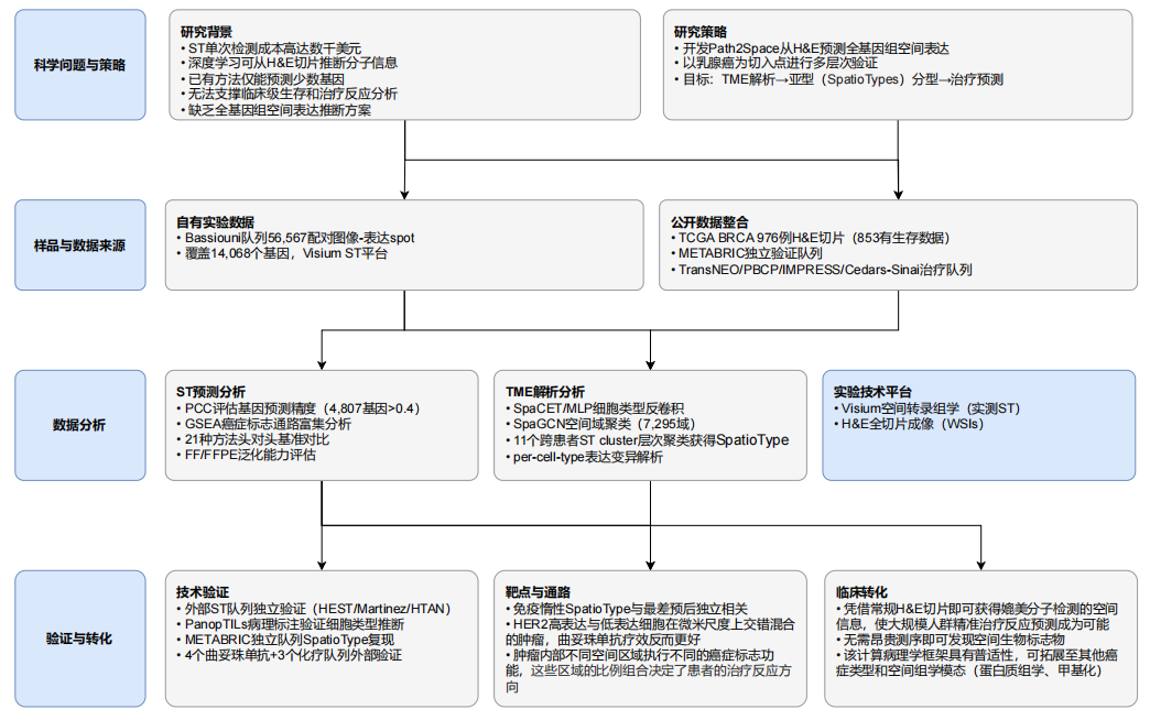 丁香实验_首页前沿资讯图