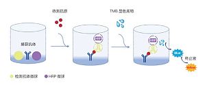 丁香实验推荐阅读