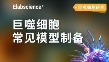 丁香实验_首页前沿资讯图
