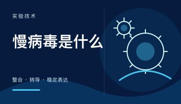 丁香实验推荐阅读