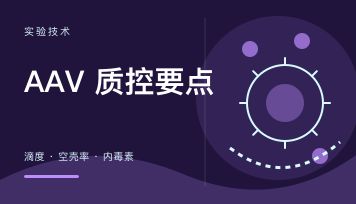 丁香实验推荐阅读