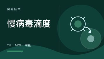 丁香实验推荐阅读