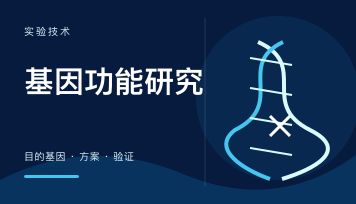 丁香实验_首页前沿资讯图