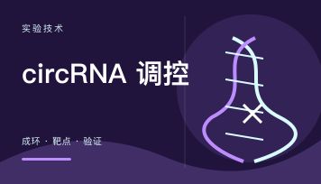 丁香实验推荐阅读