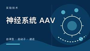 丁香实验推荐阅读