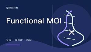 丁香实验推荐阅读