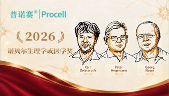 丁香实验_首页前沿资讯图
