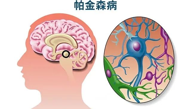 丁香实验_首页前沿资讯图