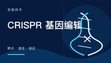 丁香实验推荐阅读