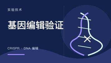 丁香实验_首页前沿资讯图