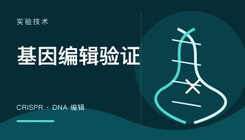 丁香实验_首页前沿资讯图