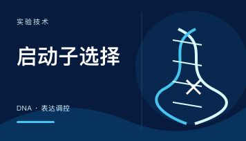 丁香实验_首页前沿资讯图